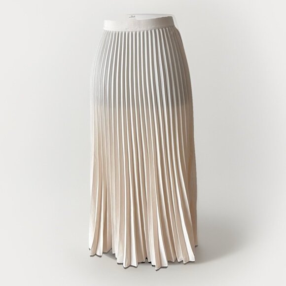 H&M Women’s Pleated Midi Skirt Beige Semi Sheer Size XS Preppy Capsule Neutrals - Picture 6 of 14
